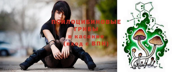 эйфоретик Заводоуковск