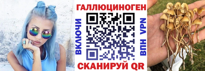 Псилоцибиновые грибы ЛСД Купить Харовск